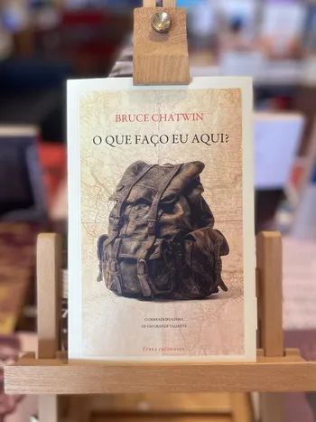 QUE FAÇO EU AQUI, O